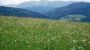 Fruehstueckspension Muehlbacher Weyregg am Attersee