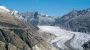 Silberdistel (Fux) - Belalp Belalp