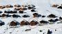 Silberdistel - Silberdistel (Fux) - Belalp Belalp