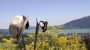 Hotel Landhaus-Strobl am Tegernsee Berg - Hotel Garni Landhaus Strobl am See Bad Wiessee