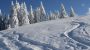 Adieu Alltag: Pension Oesterle im Schwarzwald Image for photo gallery
