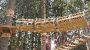 Hotel Lac Salin SPA & Mountain Resoirt Image
