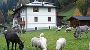 B&B Il Sorriso dei Nonni - Trentino  - B&B IL SORRISO DEI NONNI Rabbi