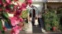 Hotel Orione Frühling am Gardasee Minibild - Hotel Orione Brenzone