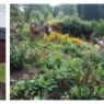 Almhuette_Kraeutergarten_Hirschalmstammglas - Jagdmaerchenpark Hirschalm Unterweissenbach