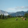 Geigenbühel Seefeld - Ferienwohnung Seefeld Ferienhaus-Irene Appartement Seefeld