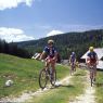 Mountainbiken am Attersee