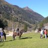 Wanderreiten - Bankwirt Pichl-Reiteralm