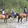 Wanderreiten - Bankwirt Pichl-Reiteralm