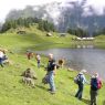 Wandern - Bankwirt Pichl-Reiteralm