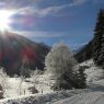 Wanderung ins Preuneggtal - Bankwirt Pichl-Reiteralm