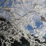 Schneekristalle - Bankwirt Pichl-Reiteralm
