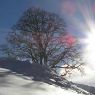 Winter Impressionen - Bankwirt Pichl-Reiteralm