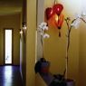 orchidee - the rooms bed & breakfast Wien